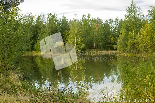 Image of A walk on a summer morning in the forest lake.