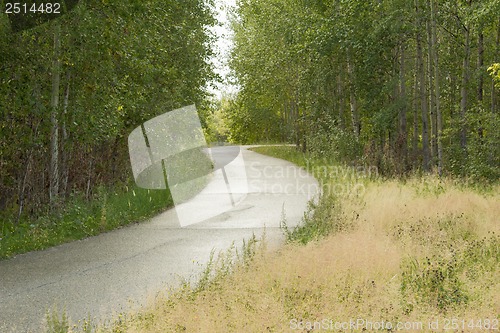 Image of Treadmill in a wooded area near the lake