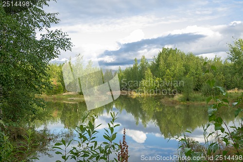 Image of A walk on a summer morning in the forest lake.