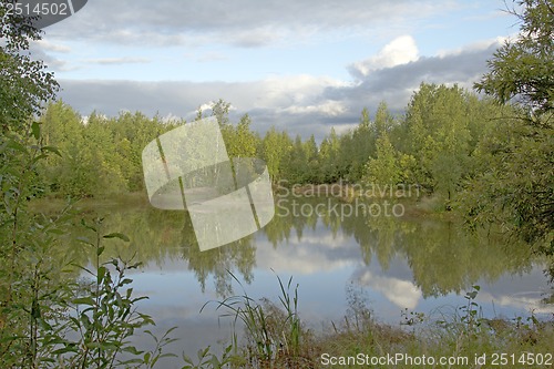 Image of A walk on a summer morning in the forest lake.