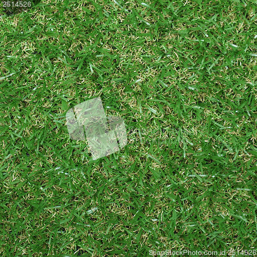 Image of Synthetic grass