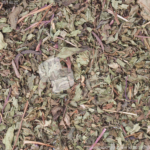 Image of Dried peppermint
