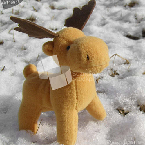 Image of Deer picture