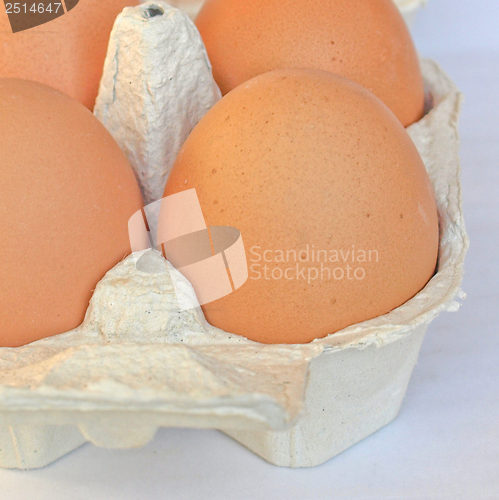 Image of Eggs