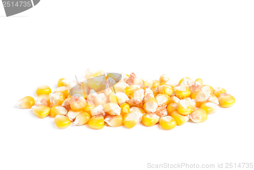 Image of fresh whole kernel corn isolated on white