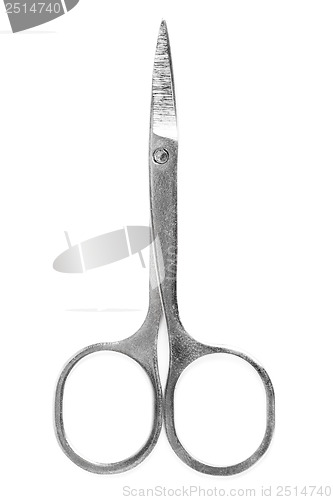 Image of manicure scissors on a white background 