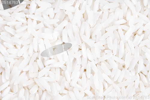 Image of close up of white rice cereal food as  background