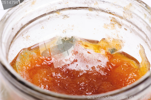 Image of Macro shot of green-grey mold growing in jam-jar