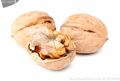 Image of Walnuts  isolated on a white background 