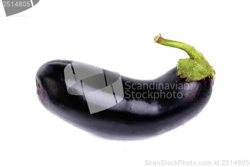 Image of eggplant  isolation on  white