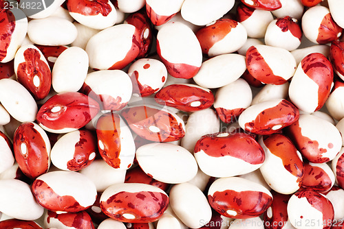 Image of haricot beans macro background