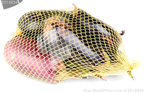 Image of eggplant in the grid isolation on white 