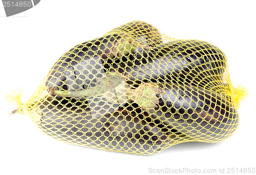 Image of eggplant in a grid on a white background isolated