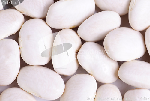 Image of white beans close up background 