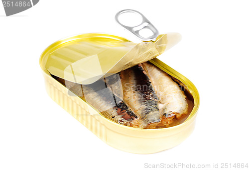 Image of open can of sardines in oil isolated on white 