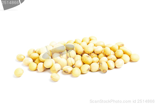 Image of soybean isolated on white background