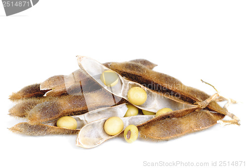 Image of Soy Beans  isolated on  white background