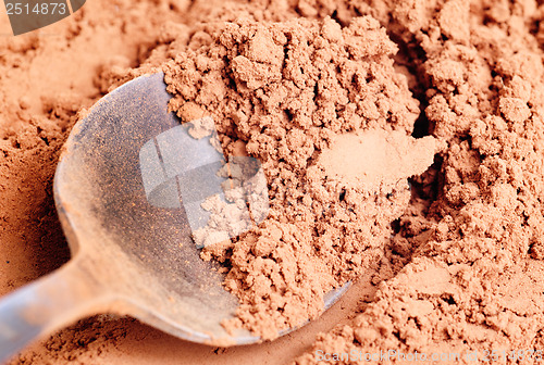 Image of Cocoa  powder  and  steel  spoon