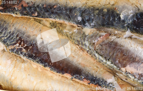 Image of  sardines in  oil as  background