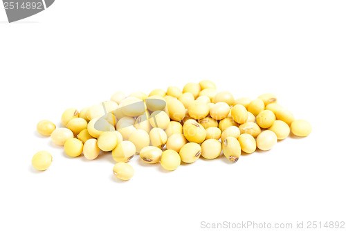 Image of soybean isolated on white 