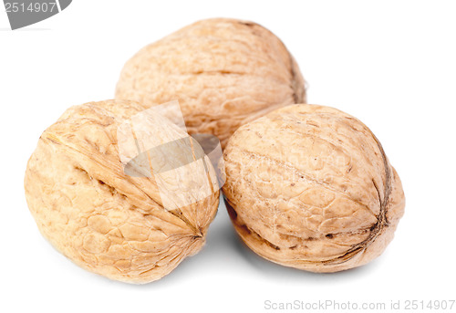 Image of walnuts isolated on a white background 