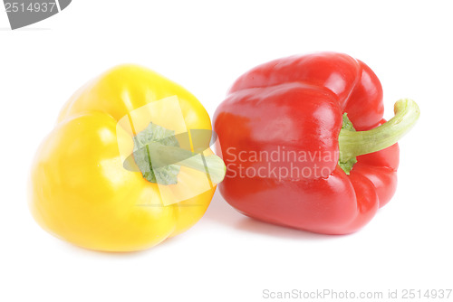 Image of two red and yellow pepper isolated on white background 
