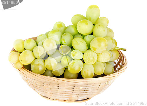 Image of Fresh grapes in Fruit Basket isolated on white background 