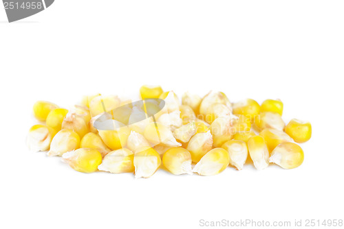 Image of fresh whole kernel corn isolated on white 