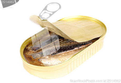 Image of can of sardines in oil isolated on white 