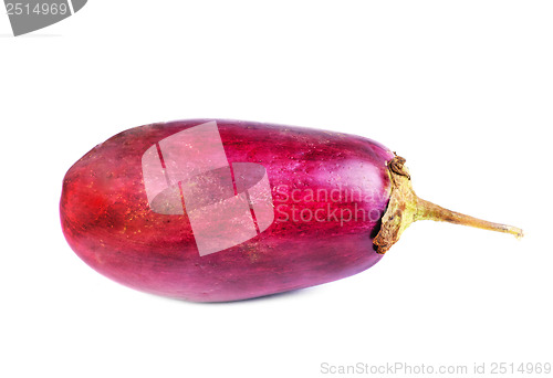 Image of eggplant isolation on white 