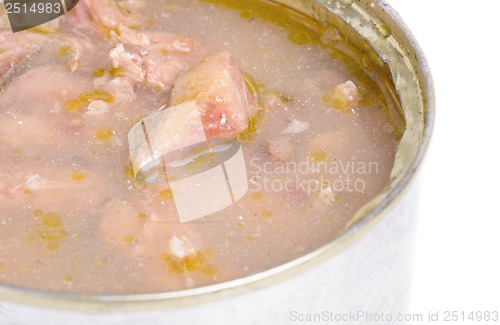 Image of Open full can of sardines in olive oil on a white 