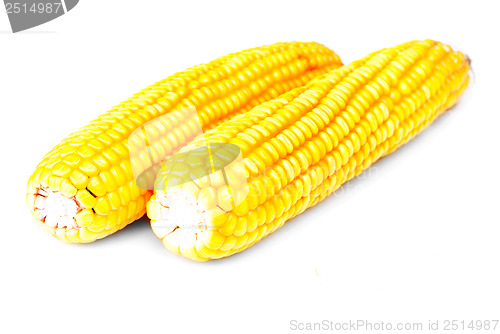 Image of Corn  isolation  on  white  