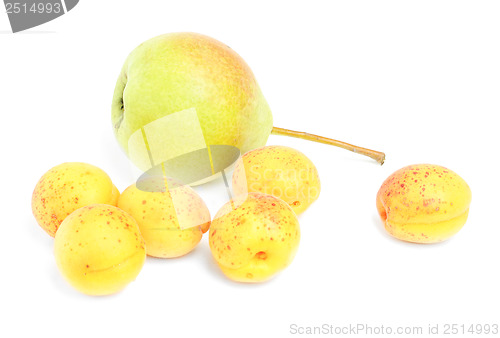 Image of pears and apricots isolated on white background