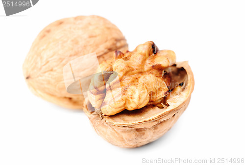 Image of  walnuts isolated on a white background 