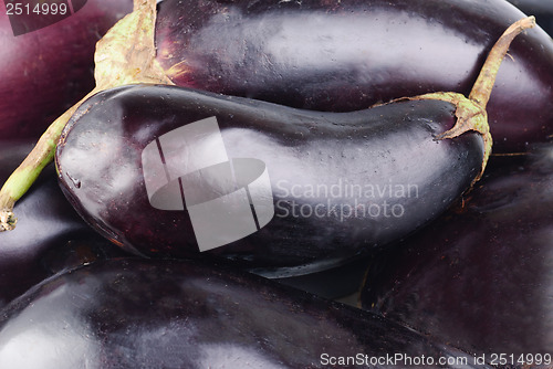 Image of fresh eggplants as  fine  food background