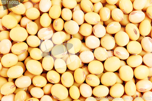 Image of Macro shot of soybeans fills as background