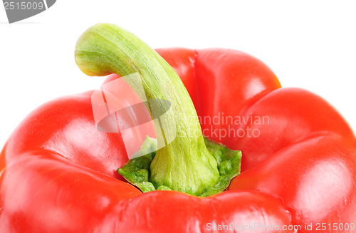 Image of Red paprika (pepper) isolated on a white background 