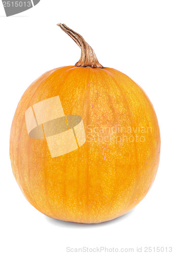 Image of Orange Pumpkin isolated on white background 