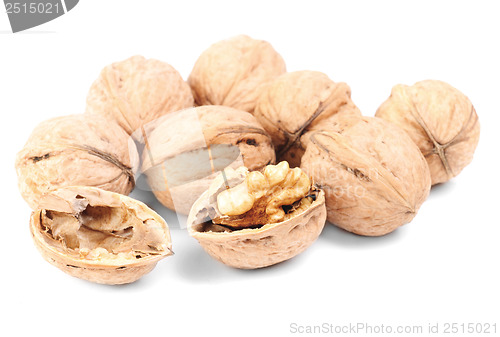 Image of Some walnuts isolated on a white background 