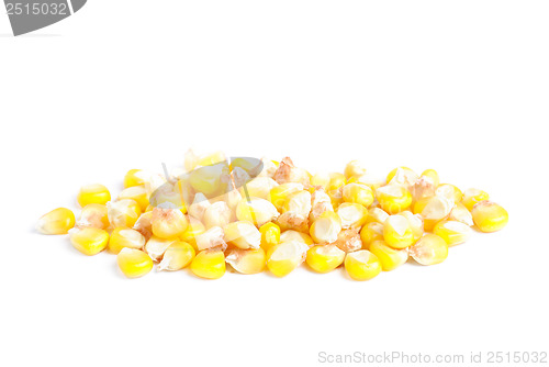 Image of fresh whole kernel corn isolated on white