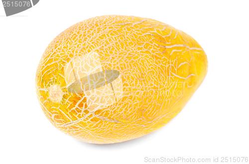 Image of One melon isolated on white background 