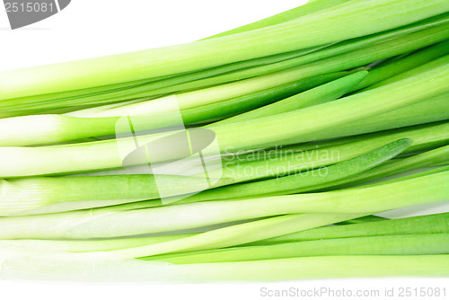 Image of fresh green onions isolated on white 