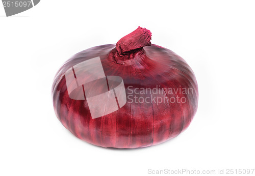 Image of one purple onions isolated on the white background 