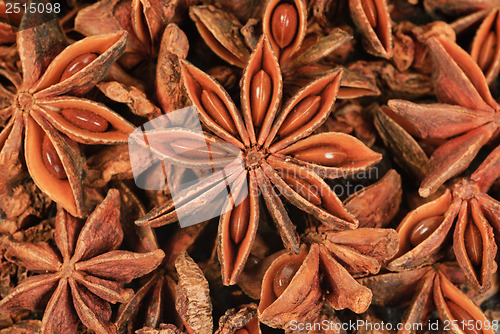 Image of Fresh anise-star, nature spice  background