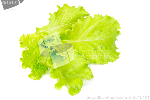Image of fresh salad isolated on white 