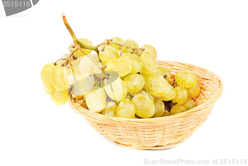 Image of Fresh grapes in Fruit Basket isolated on white background 