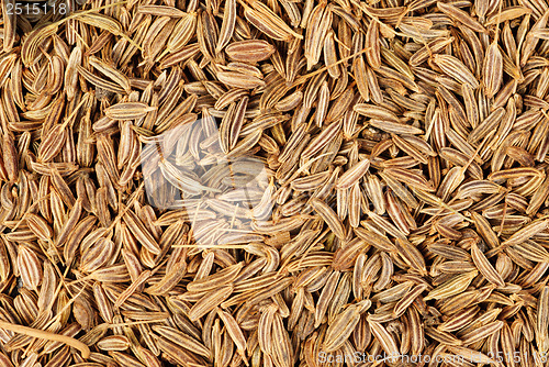 Image of cumin seeds macro as background 