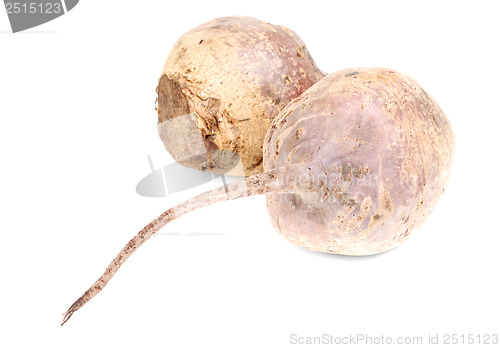 Image of Beet purple vegetable isolated on white background 