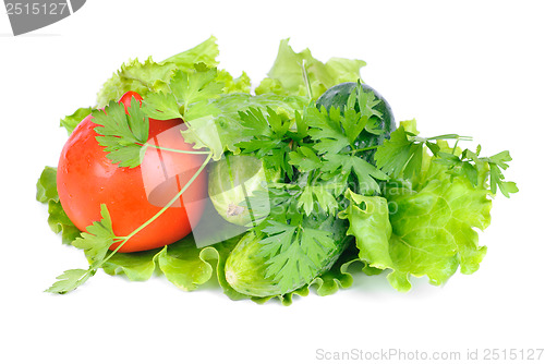 Image of Green salad and fresh vegetables  isolated on white background 