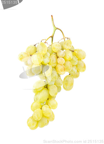 Image of White grapes gsolated on white background 